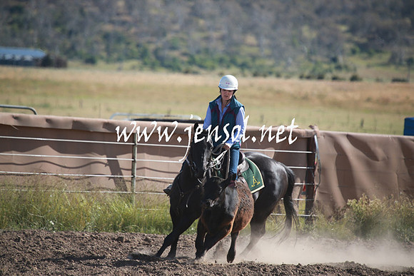 AdaminabyCampdraftSun_0093