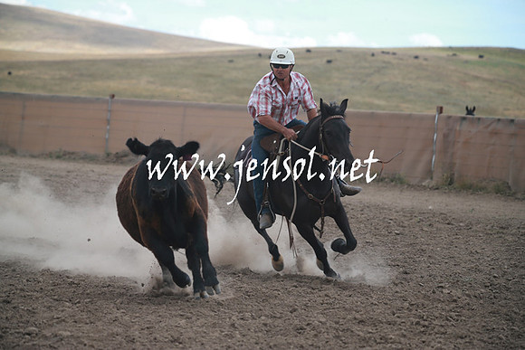 AdaminabyCampdraftSun_0360