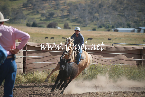 AdaminabyCampdraftSun_0142