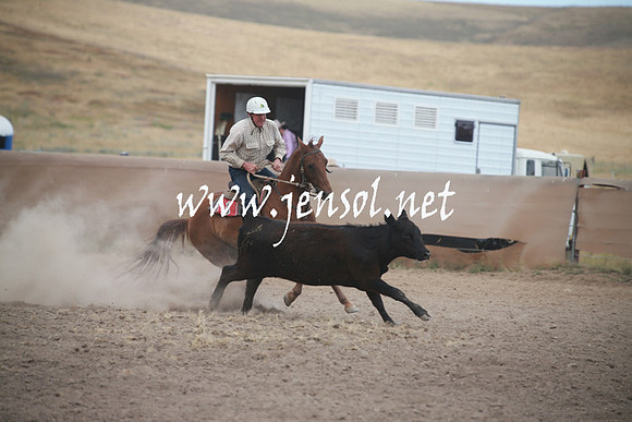 AdaminabyCampdraftSun_0265