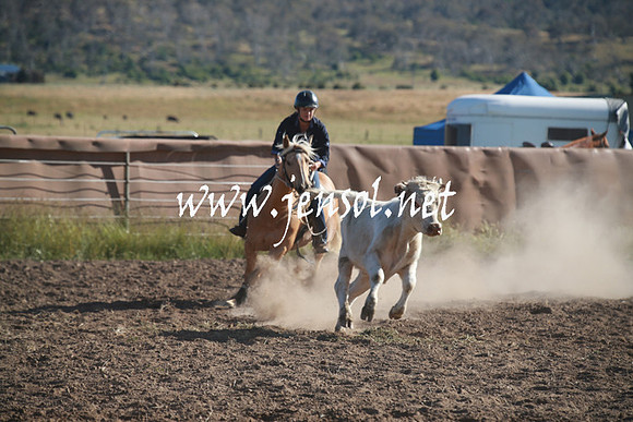 AdaminabyCampdraftSun_0031