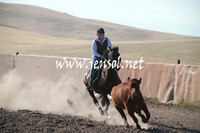 AdaminabyCampdraftSun_0026