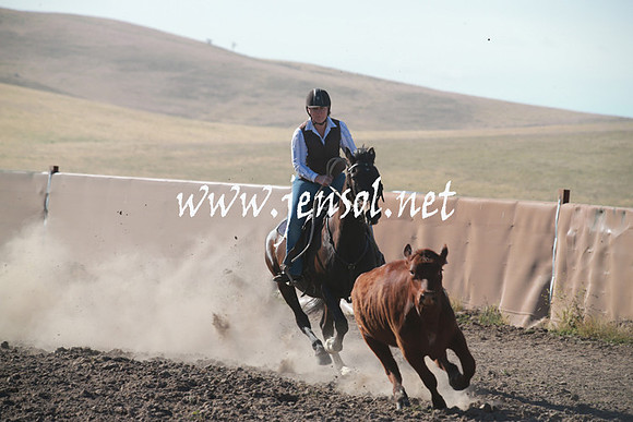 AdaminabyCampdraftSun_0026