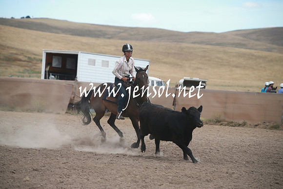 AdaminabyCampdraftSun_0335