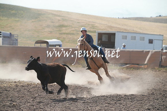 AdaminabyCampdraftSun_0148