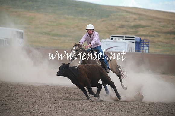 AdaminabyCampdraftSun_0347