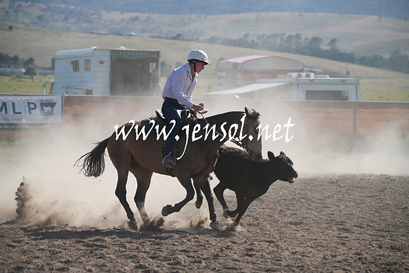 AdaminabyCampdraftSun_0085