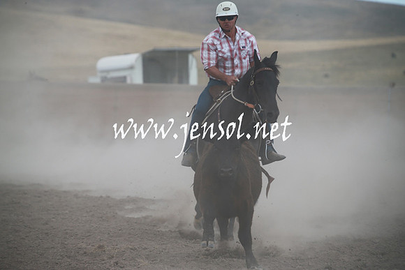 AdaminabyCampdraftSun_0311
