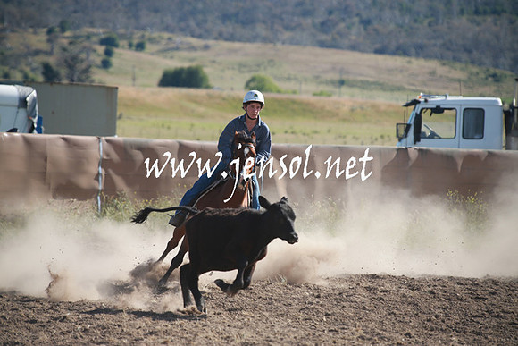 AdaminabyCampdraftSun_0086