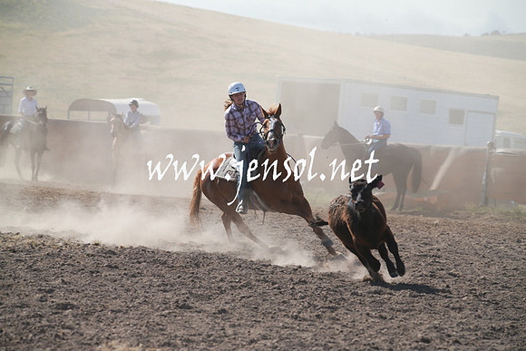 AdaminabyCampdraftSun_0134