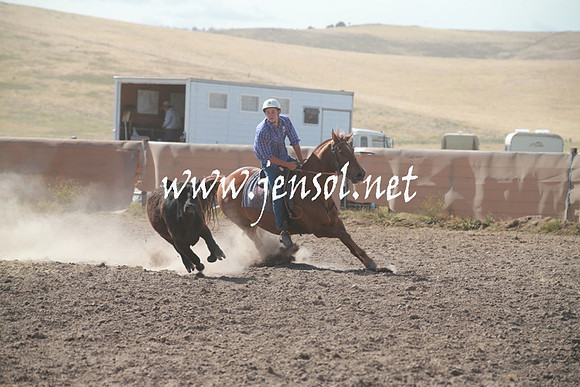 AdaminabyCampdraftSun_0160