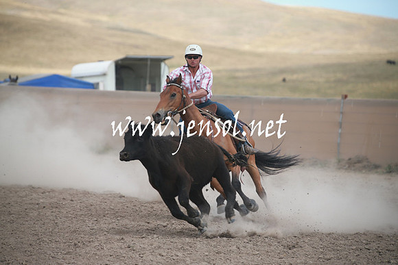 AdaminabyCampdraftSun_0260