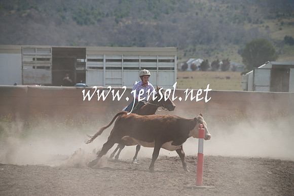 AdaminabyCampdraftSun_0212