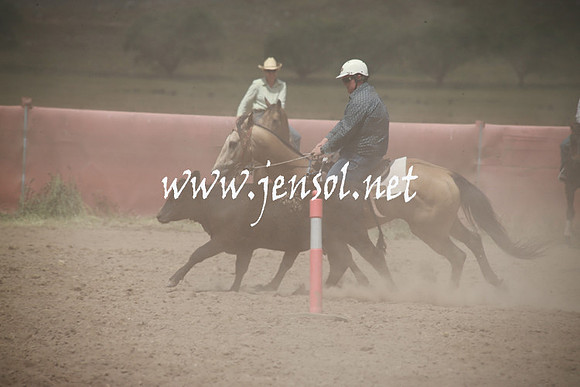 AdaminabyCampdraftSun_0298