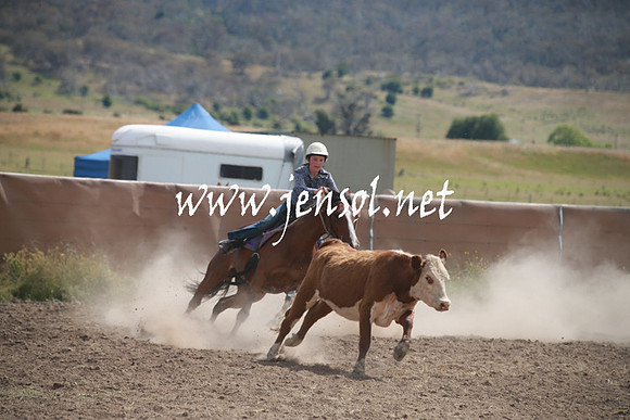 AdaminabyCampdraftSun_0224
