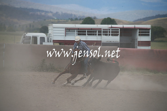 AdaminabyCampdraftSun_0285