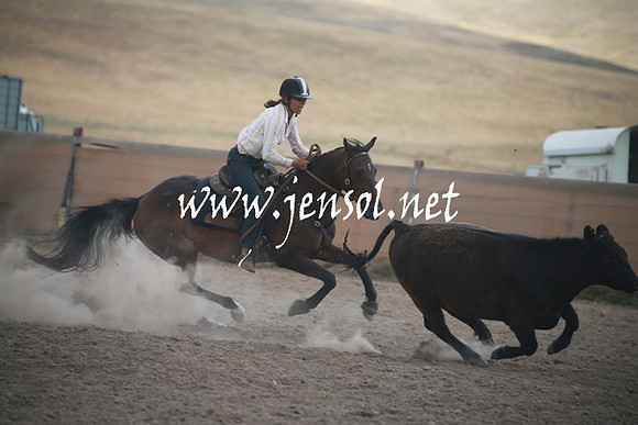 AdaminabyCampdraftSun_0367