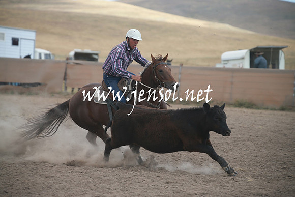 AdaminabyCampdraftSun_0317