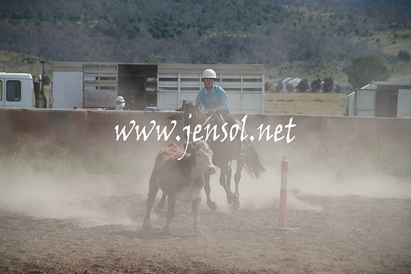 AdaminabyCampdraftSun_0186
