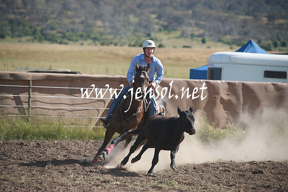 AdaminabyCampdraftSun_0096