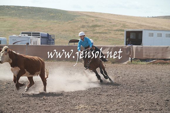 AdaminabyCampdraftSun_0190