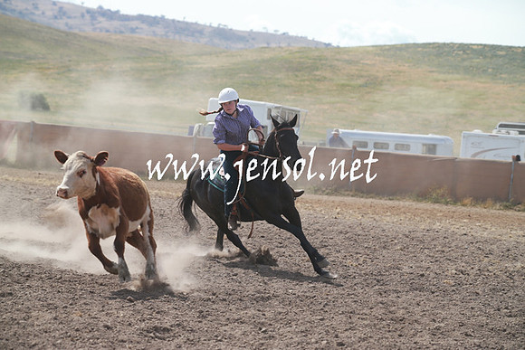 AdaminabyCampdraftSun_0208