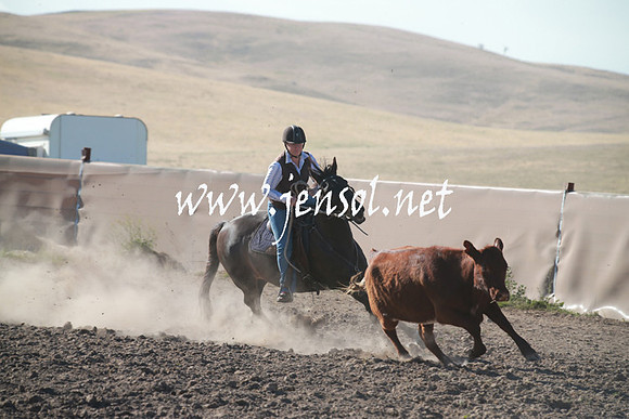 AdaminabyCampdraftSun_0024