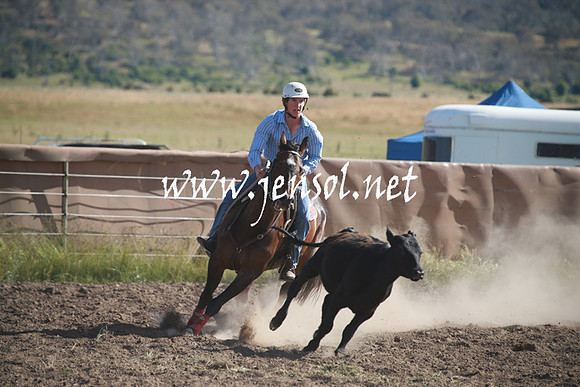 AdaminabyCampdraftSun_0097
