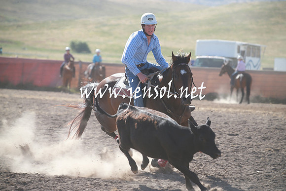 AdaminabyCampdraftSun_0100