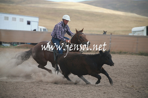 AdaminabyCampdraftSun_0316