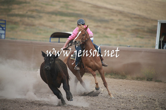 AdaminabyCampdraftSun_0253