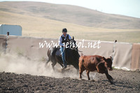 AdaminabyCampdraftSun_0025