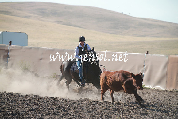 AdaminabyCampdraftSun_0025