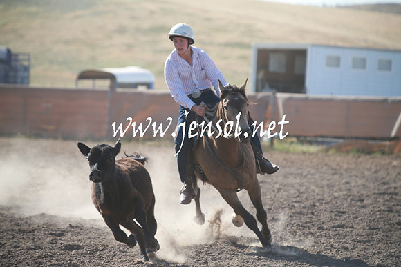 AdaminabyCampdraftSun_0083