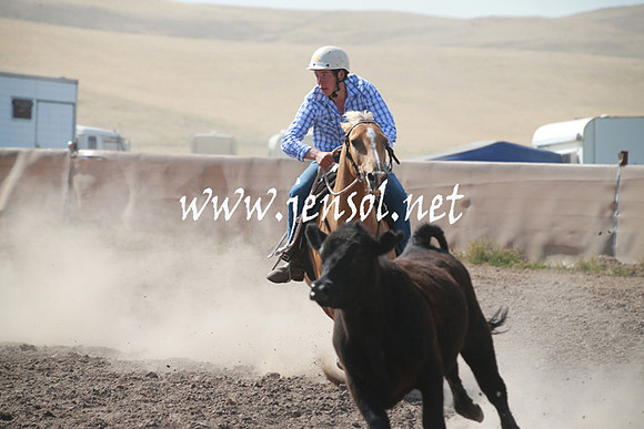 AdaminabyCampdraftSun_0174