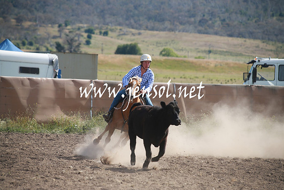 AdaminabyCampdraftSun_0171