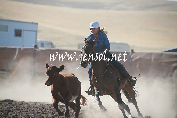 AdaminabyCampdraftSun_0047