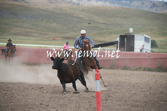 AdaminabyCampdraftSun_0247