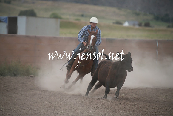 AdaminabyCampdraftSun_0280