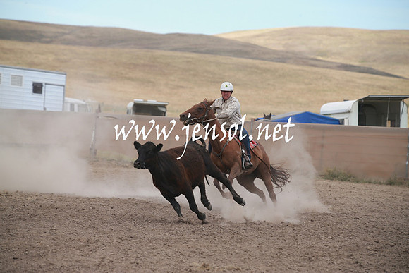 AdaminabyCampdraftSun_0269