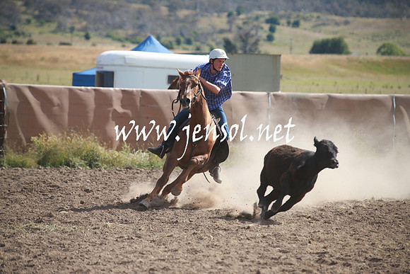 AdaminabyCampdraftSun_0154