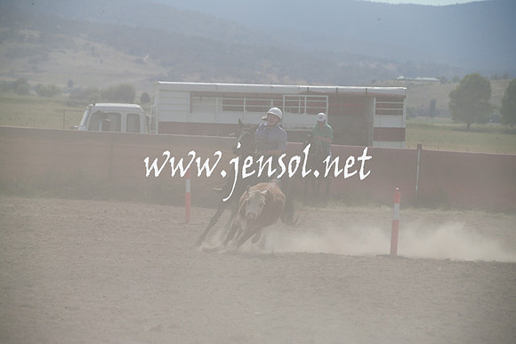 AdaminabyCampdraftSun_0211