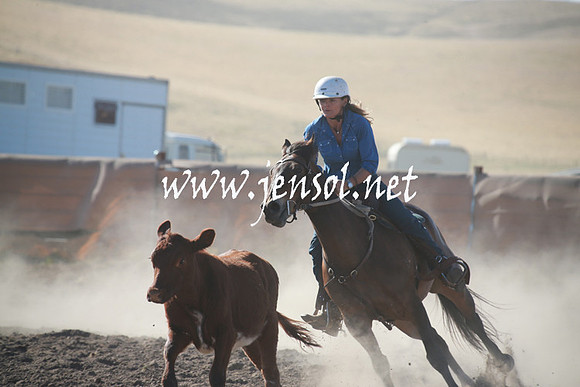 AdaminabyCampdraftSun_0048
