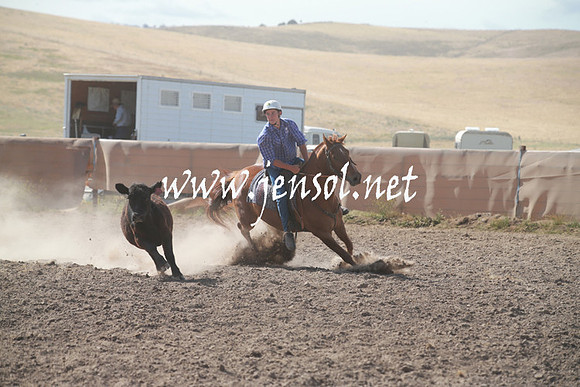 AdaminabyCampdraftSun_0162