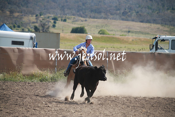 AdaminabyCampdraftSun_0170