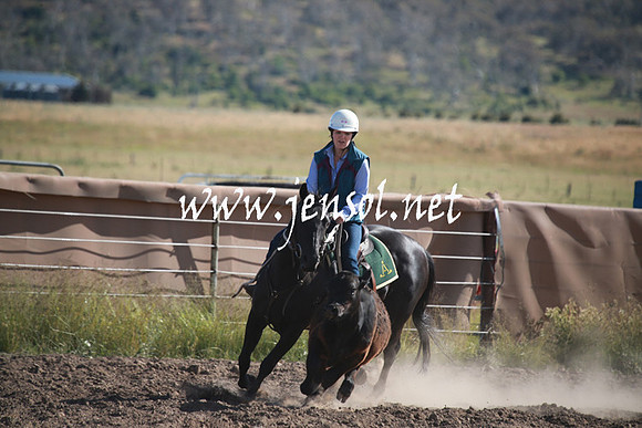 AdaminabyCampdraftSun_0094