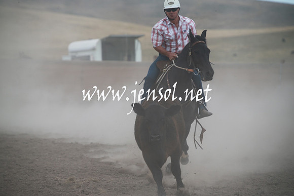 AdaminabyCampdraftSun_0312