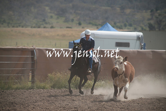 AdaminabyCampdraftSun_0214