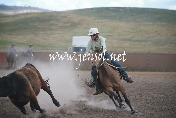 AdaminabyCampdraftSun_0365