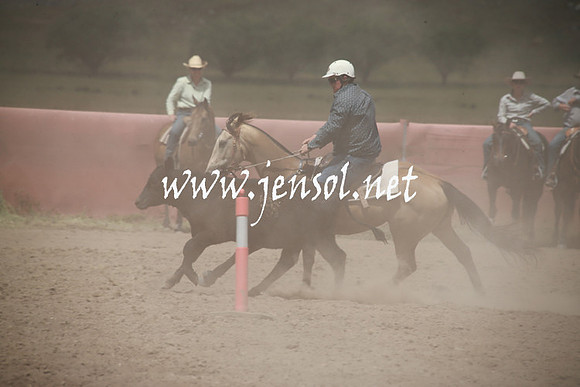 AdaminabyCampdraftSun_0297
